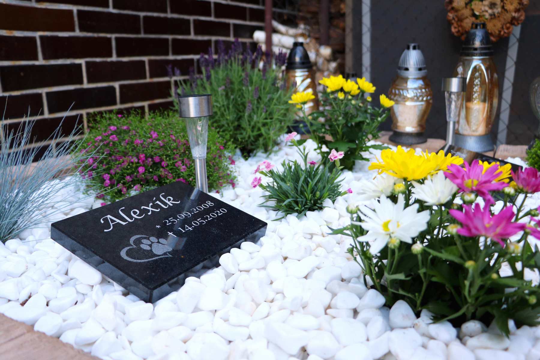 Hroby zvieracích miláčikov